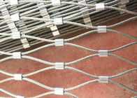 304 304L 316 316L Stainless Steel Plant Climbing Mesh