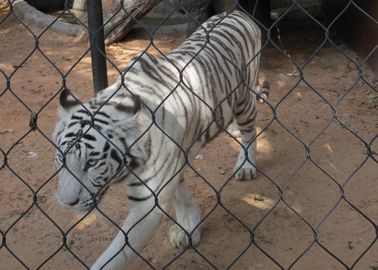 Flexible Stainless Steel X Tend Mesh , Zoo Knotted Rope Mesh For Tigers / Lions