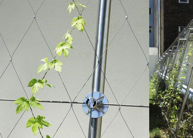 YT Stainless Steel Garden Fence , Diamond Mesh Wire Fence For Green Plants